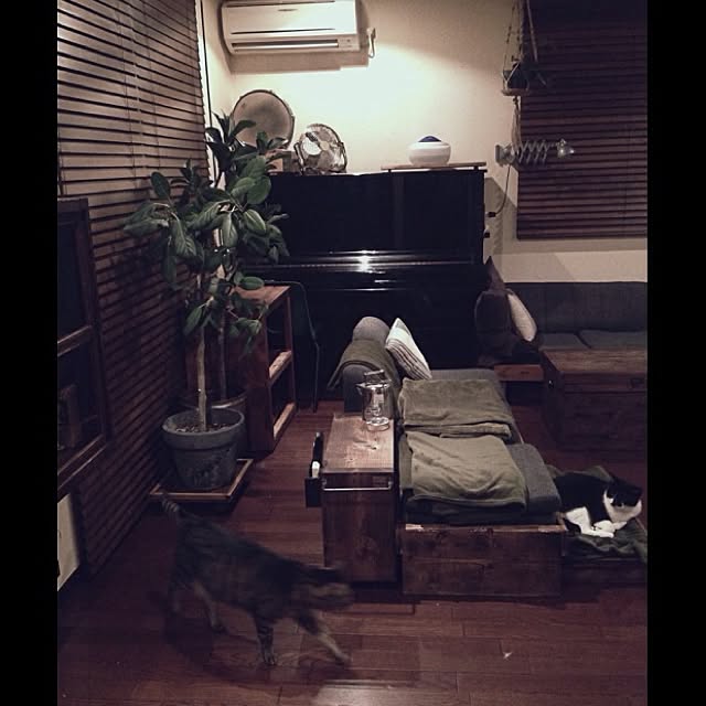 jnkaiさんの実例写真