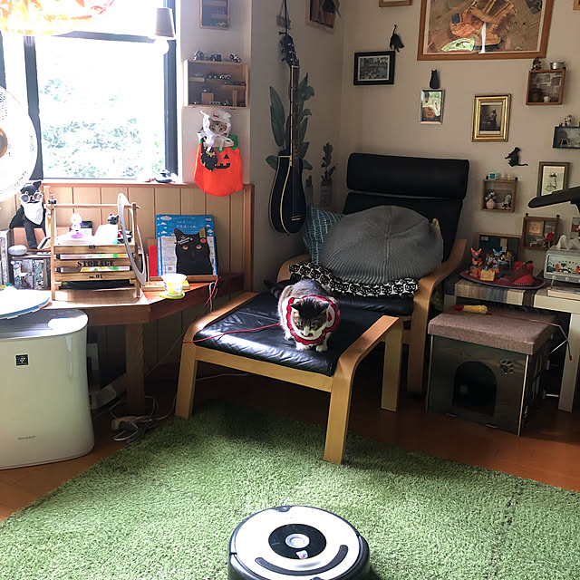 jijiさんの実例写真