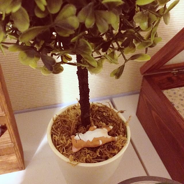 hassyさんの実例写真