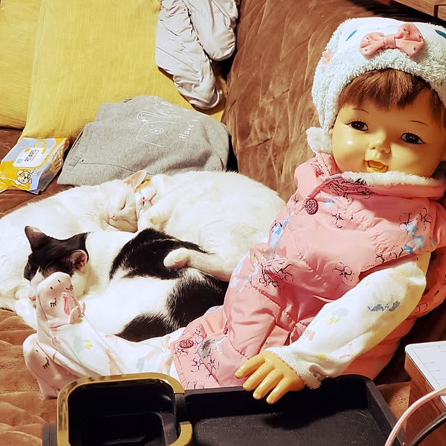 HOTARU.catさんの実例写真