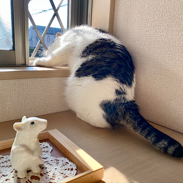 yukiさんの実例写真