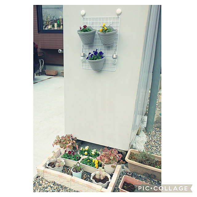 yumiyumiさんの実例写真