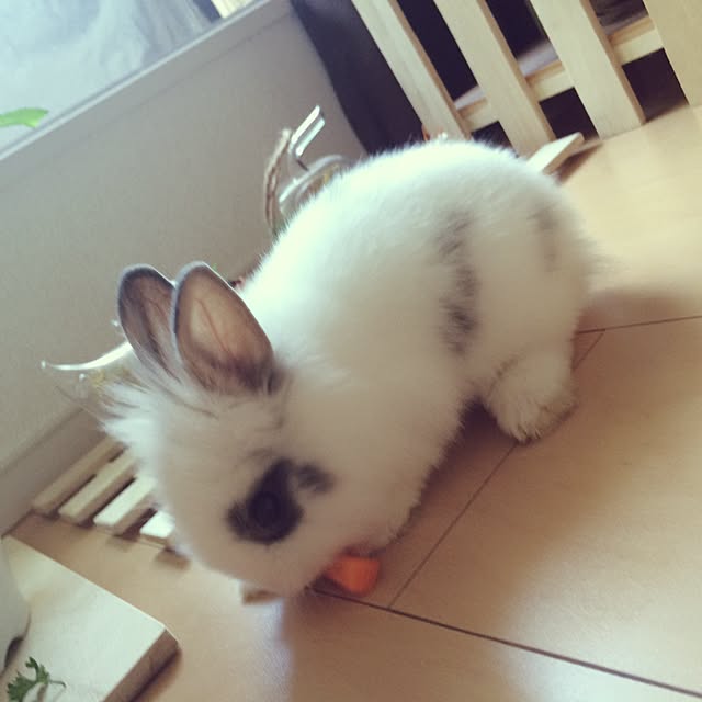 imuranさんの実例写真