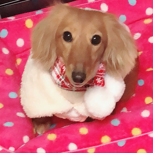Ayiさんの実例写真