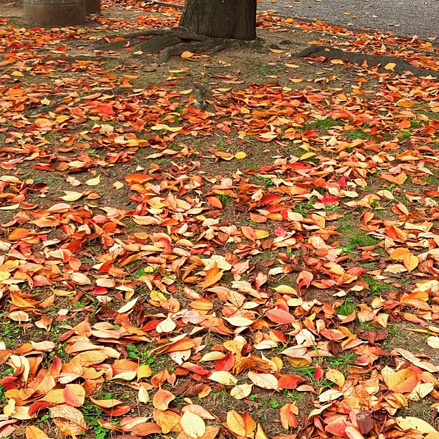 mariaさんの部屋