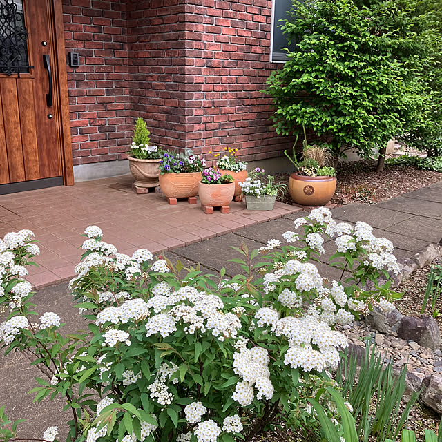 ikubooさんの部屋