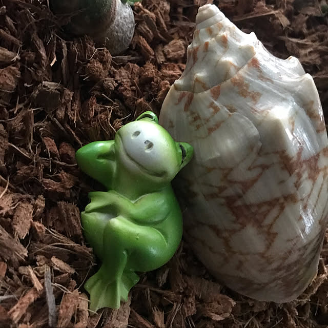 Meimamaosaruさんの実例写真