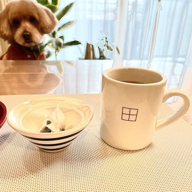 ponさんの部屋