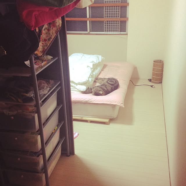 carolさんの実例写真