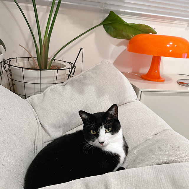 mako2yaさんの部屋