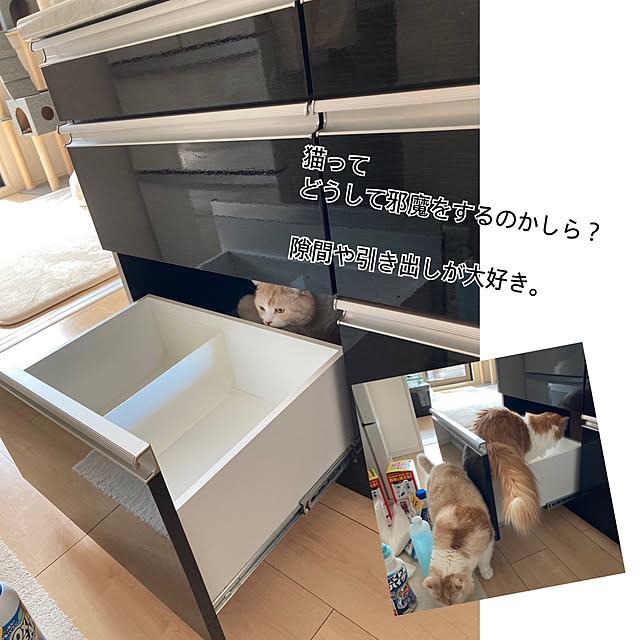 H.Tさんの実例写真