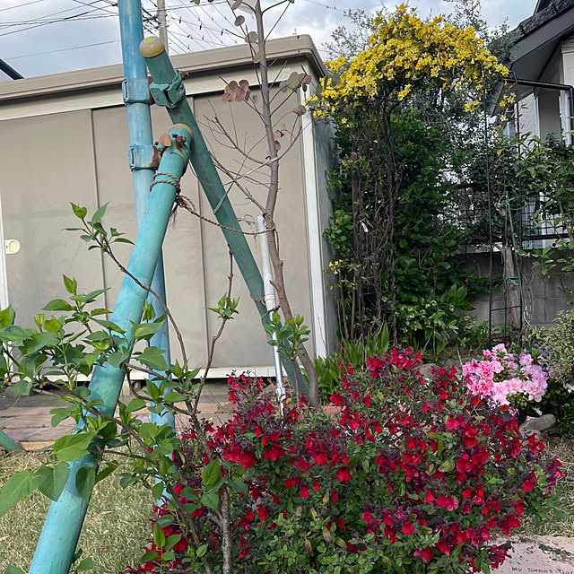 ronronさんの部屋