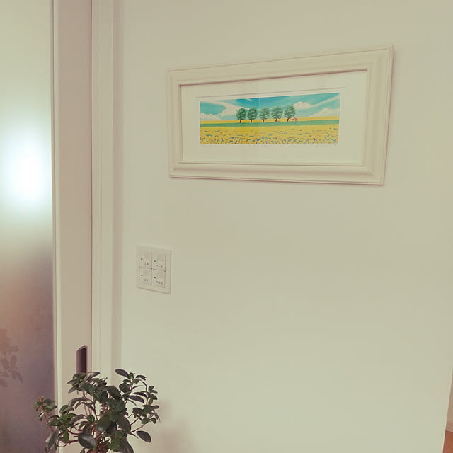 hanaさんの実例写真