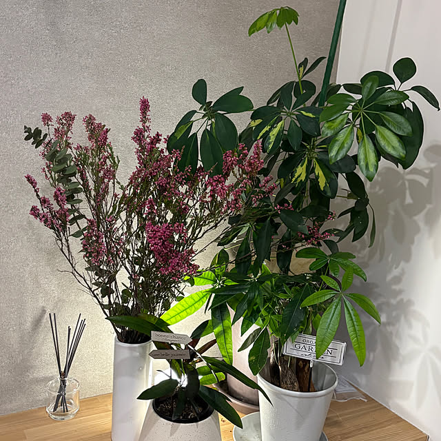 nattiさんの部屋