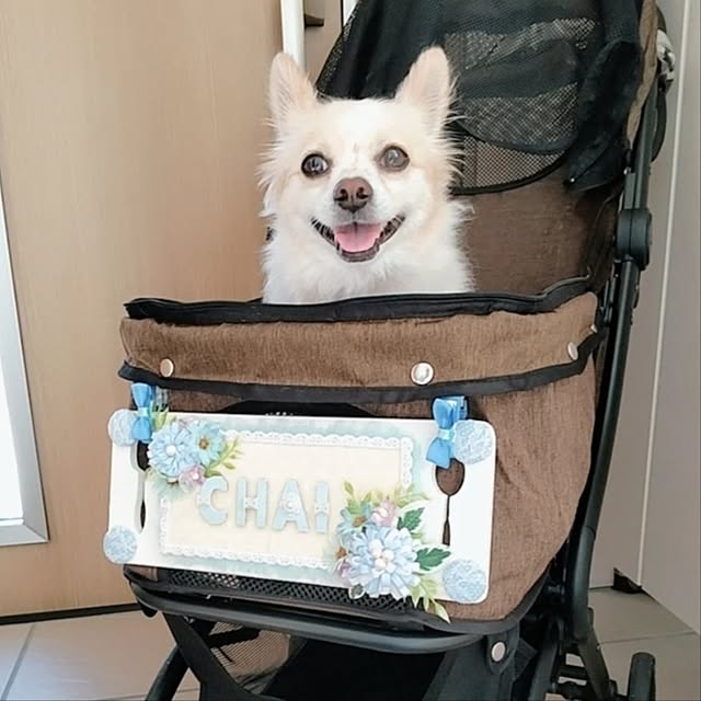 PAOさんの部屋