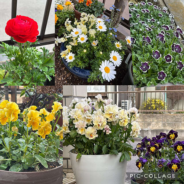 Smilkazuさんの部屋