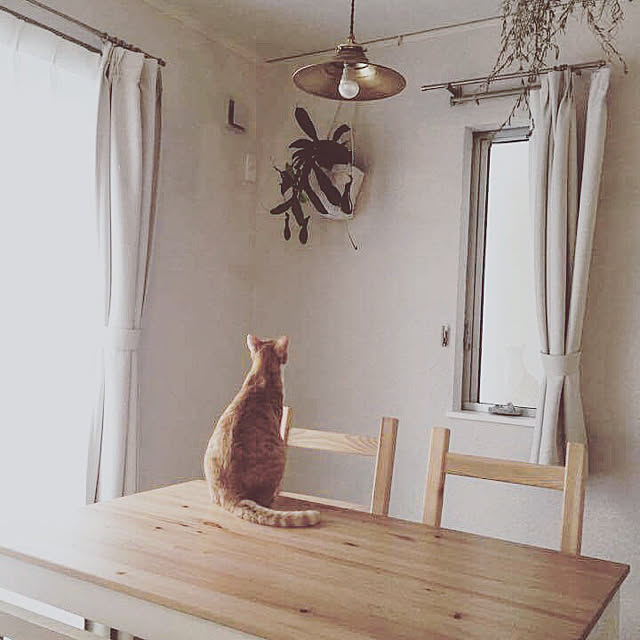 MEさんの実例写真