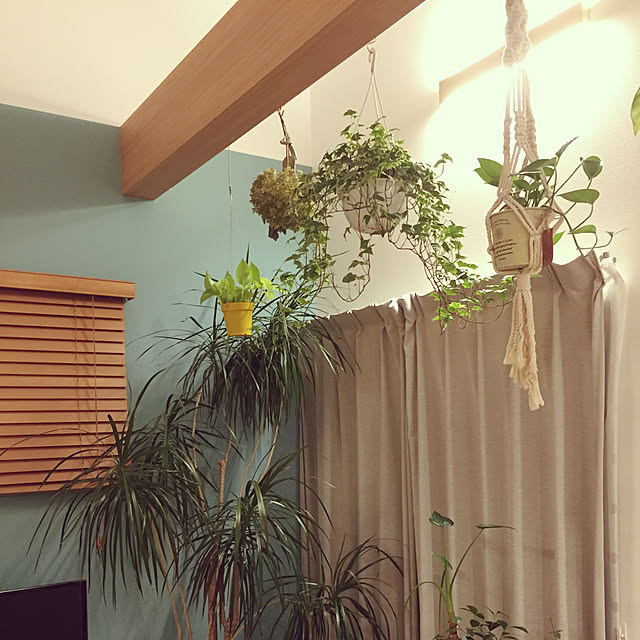 goriponさんの実例写真