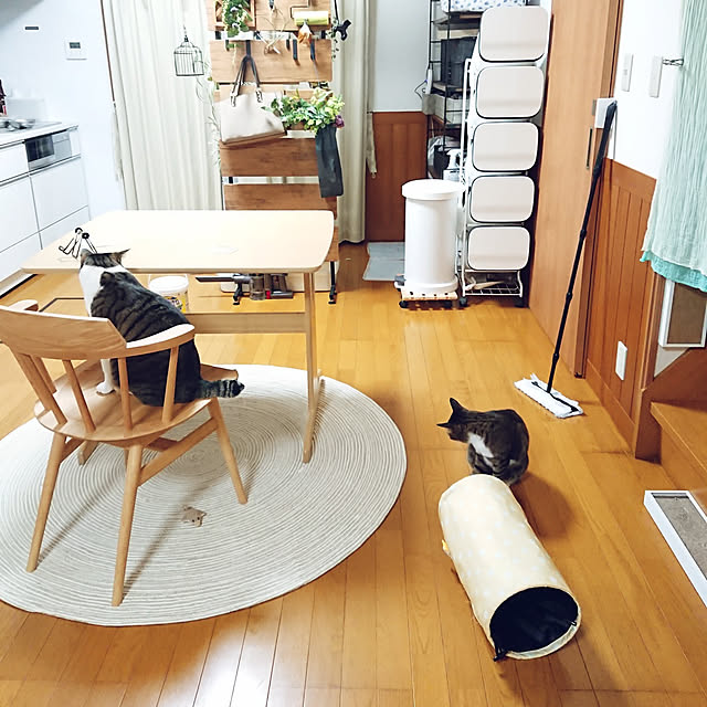 nachiさんの実例写真