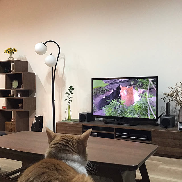 houenさんの実例写真