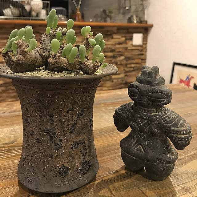 taichiさんの実例写真