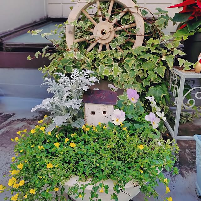 yukaさんの実例写真