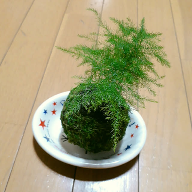 kaaiさんの実例写真