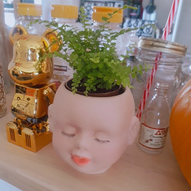 shiiitanさんの実例写真