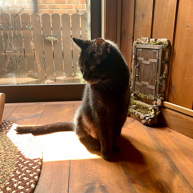 tabasaさんの実例写真