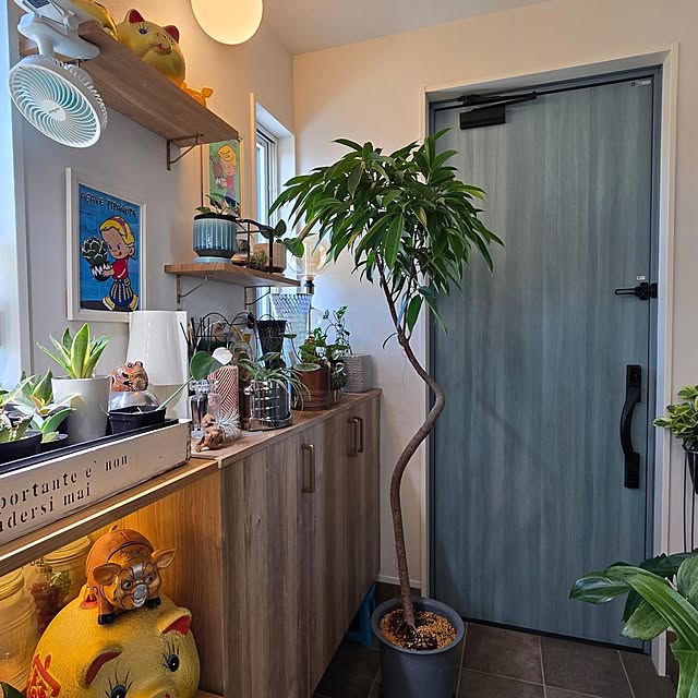 nonbiri_house_さんの部屋