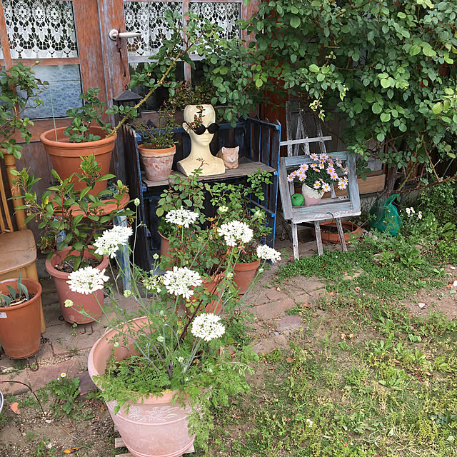 shigimiさんの実例写真