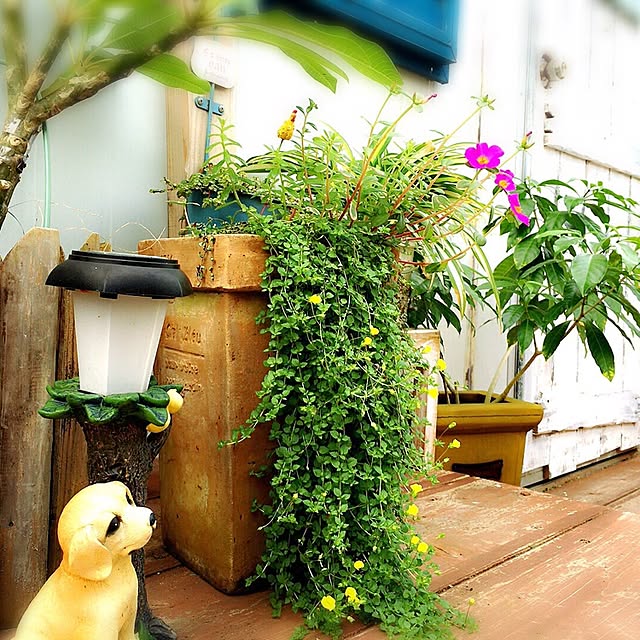RIONさんの実例写真