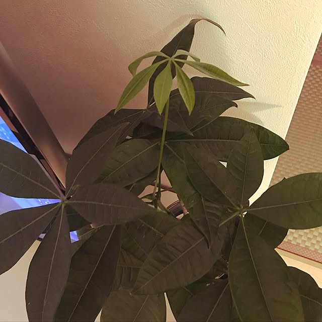 beさんの部屋