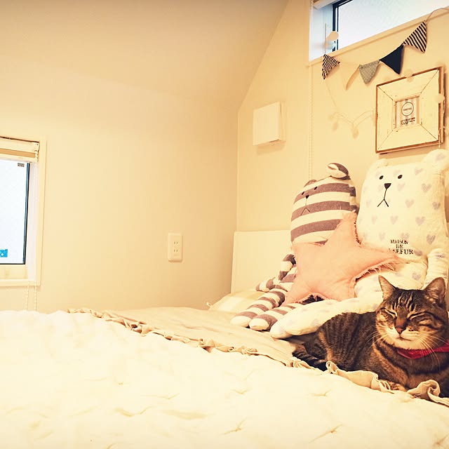 lovecatさんの実例写真