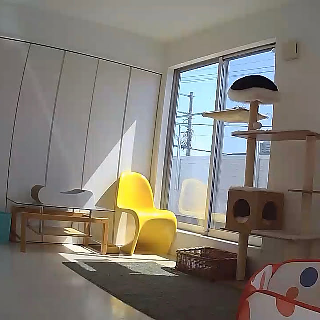 nonさんの実例写真