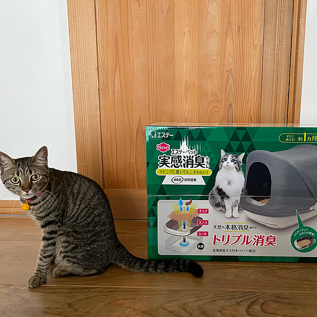 puu.tuuliさんの実例写真