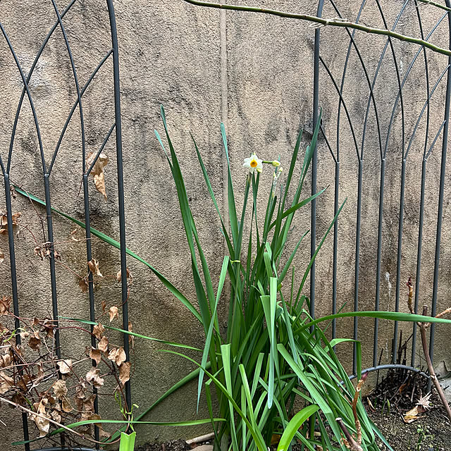 fumikoiさんの部屋