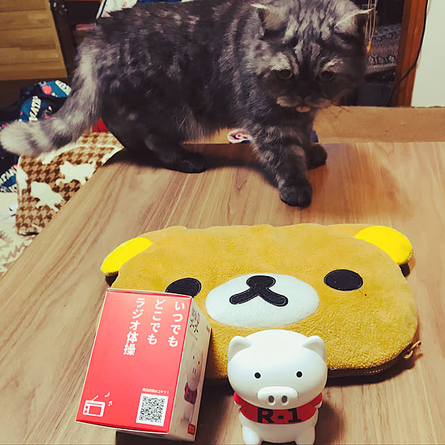Marinさんの実例写真