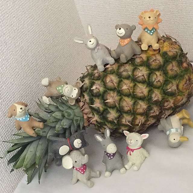 popoyukiさんの実例写真