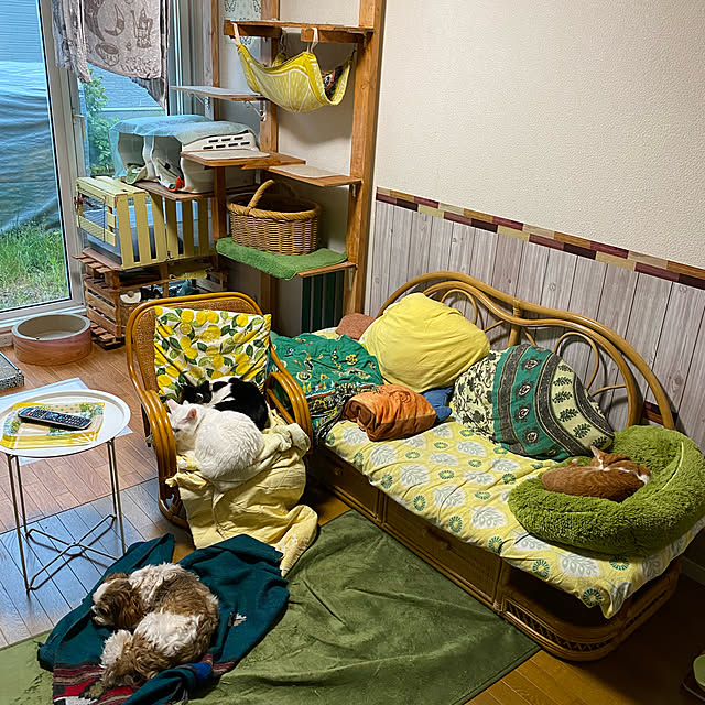 SHIHOさんの実例写真