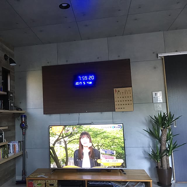 リビング/観葉植物のインテリア実例 - 2017-05-04 07:59:09