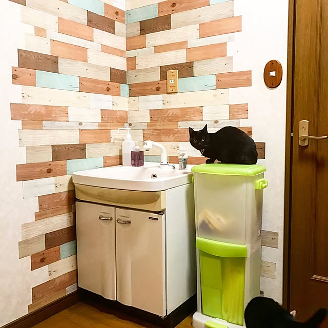 minotchyさんの実例写真