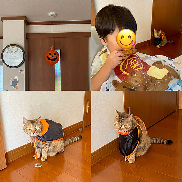 hansho.sさんの実例写真