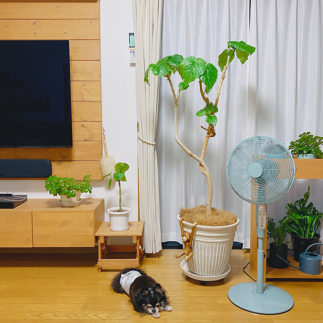 yukaさんの実例写真