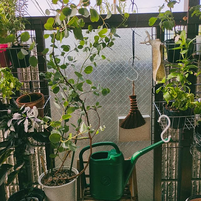 popoさんの実例写真