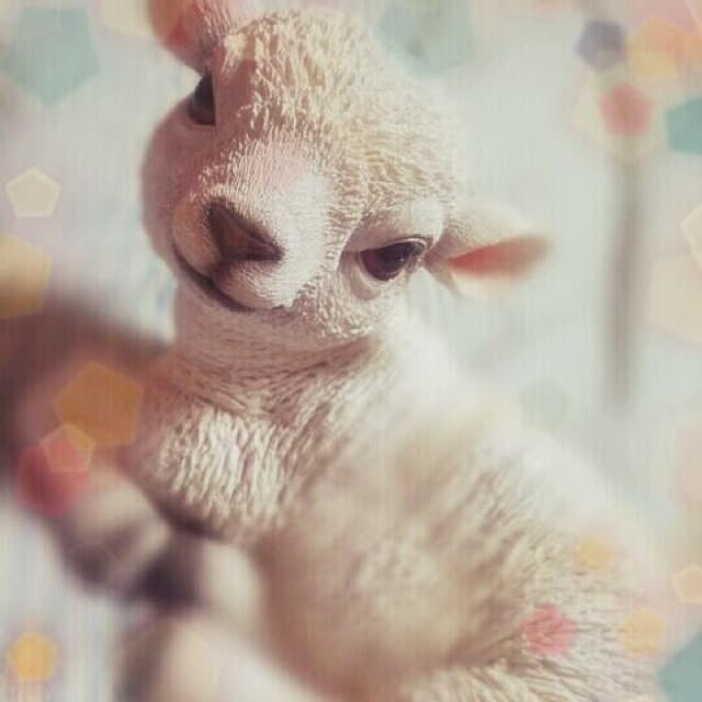 aiさんの実例写真