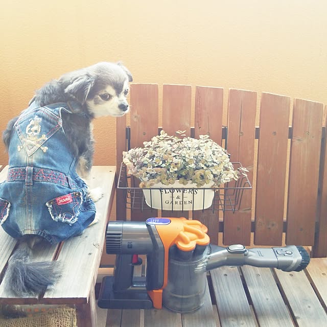 satominさんの実例写真