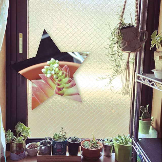 komiku1002さんの実例写真