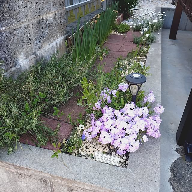 ameamekaasanさんの部屋