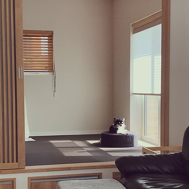 Nikiさんの実例写真